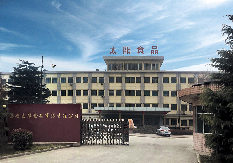 西安太阳食品有限责任庄闲和游戏简介