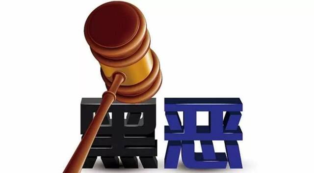 扫黑除恶 ｜萧仲文：孙幼果被执行死刑，正义终于战胜了邪恶